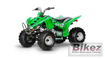 2009 Diamo Lightning 110 photo
